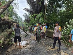 Sinergi TNI-Polri dan Warga: Gerak Cepat Babinsa Normalkan Akses Jalan Pasca Banjir di Banjit