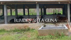 BUMDes Arta Guna Pekon Wates ,Pringsewu Mengaku Tidak Tahu Menahu Terkait Realisasi Dana Ketahanan Pangan 