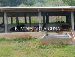 BUMDes Arta Guna Pekon Wates ,Pringsewu Mengaku Tidak Tahu Menahu Terkait Realisasi Dana Ketahanan Pangan 